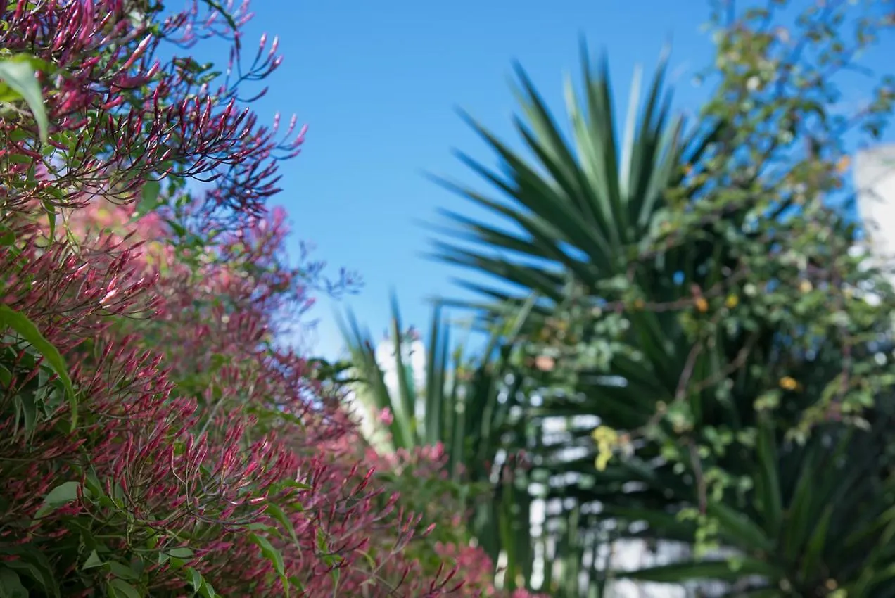 Flat With A Garden In Belem Apartamento Lisboa
